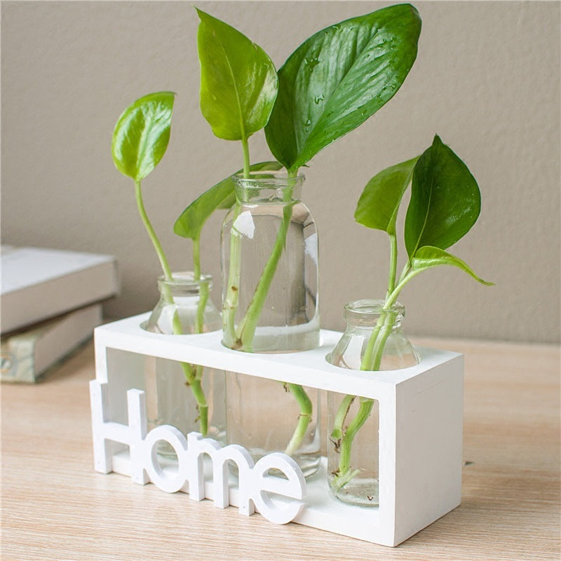 Hydroponic vase glass decoration