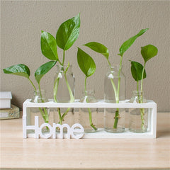 Hydroponic vase glass decoration