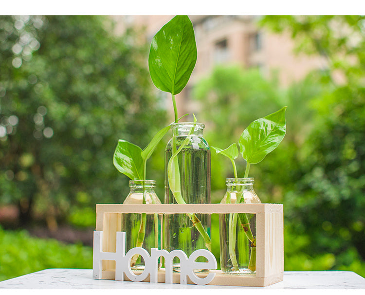 Hydroponic vase glass decoration