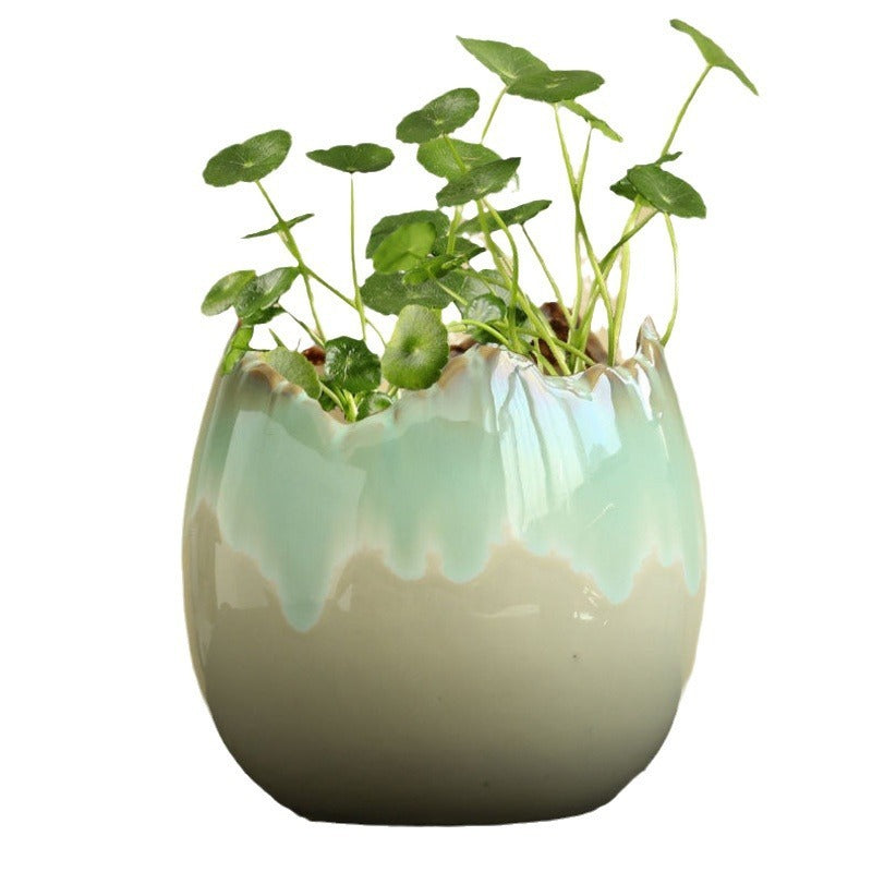 Hydrocotyle Hydroponic Ceramic Non-porous Flowerpot