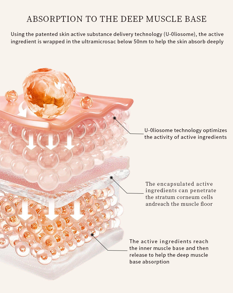 Collagen Crystal Mask Upper And Lower Segments