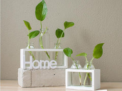 Hydroponic vase glass decoration