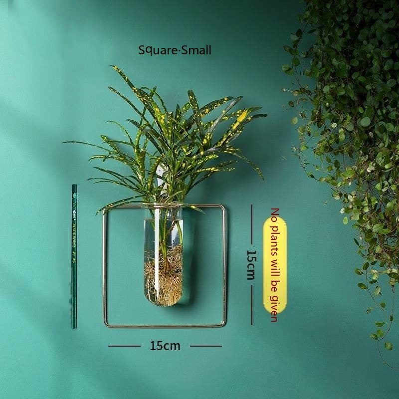 Vase Decoration Wall-mounted Hydroponic Flowerpot Hanging Wall Hanging