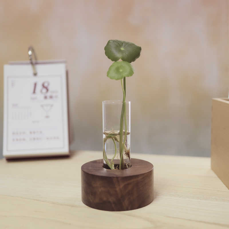 Desktop Hydroponic Decoration Minimalist Creative Test Tube Flower Stand