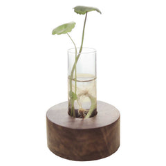 Desktop Hydroponic Decoration Minimalist Creative Test Tube Flower Stand