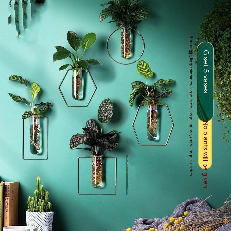 Vase Decoration Wall-mounted Hydroponic Flowerpot Hanging Wall Hanging