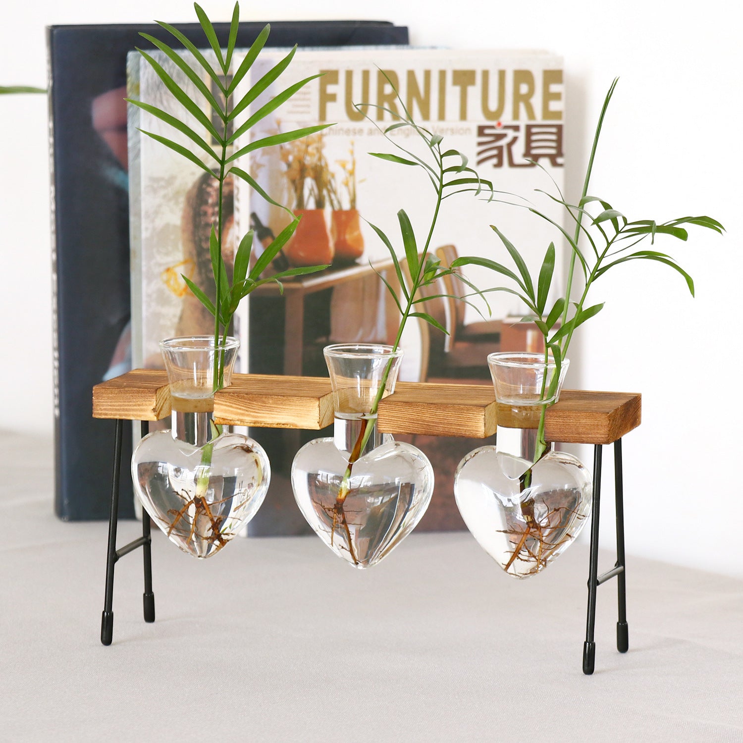 Creative Glass Hydroponic Vase Green Dill Plant Container Transparent Planter Office Desk Surface Panel Decorative Flower Vase